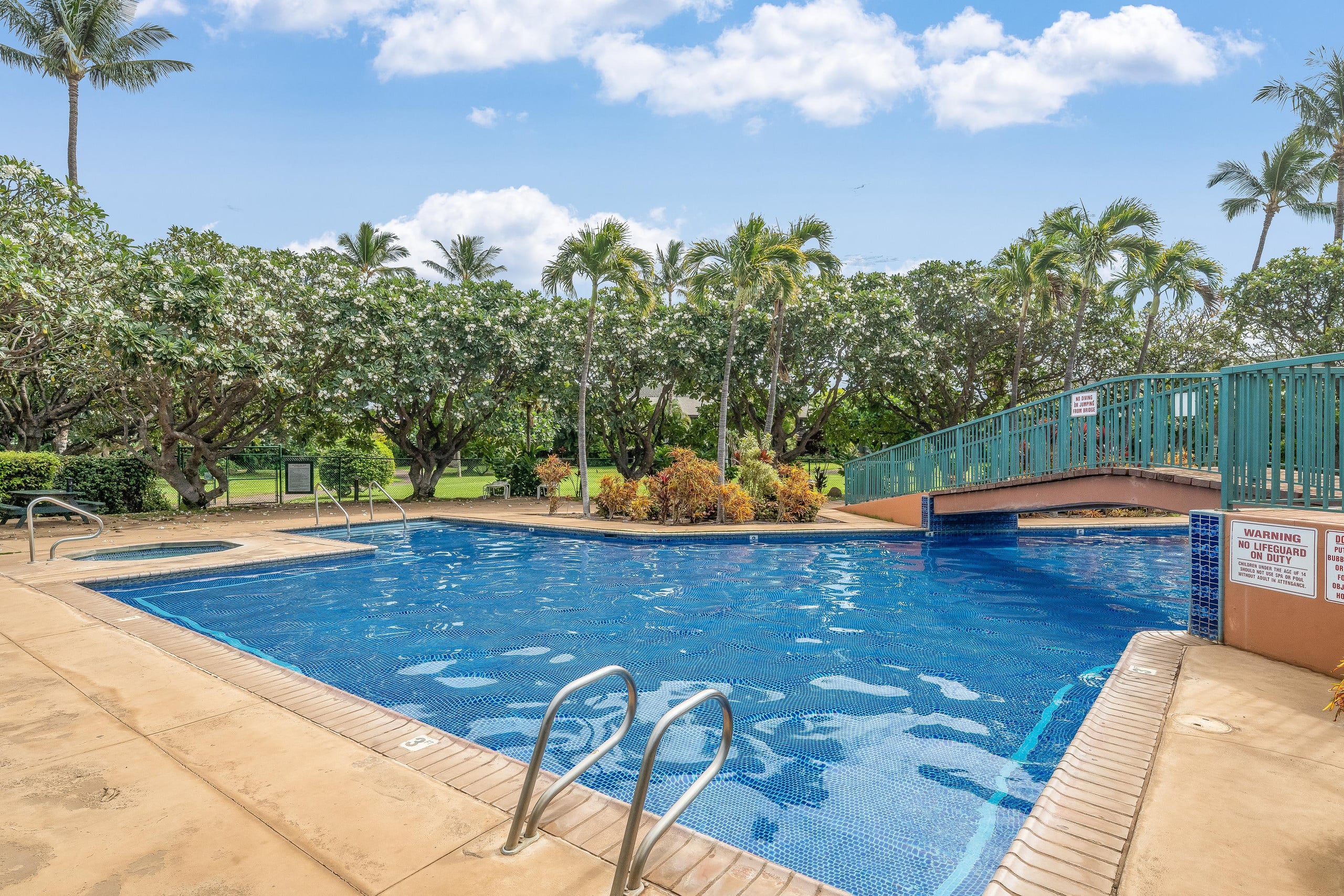Condo in Kihei · ★5.0 · 3 bedrooms · 5 beds · 2 private baths - Image 104