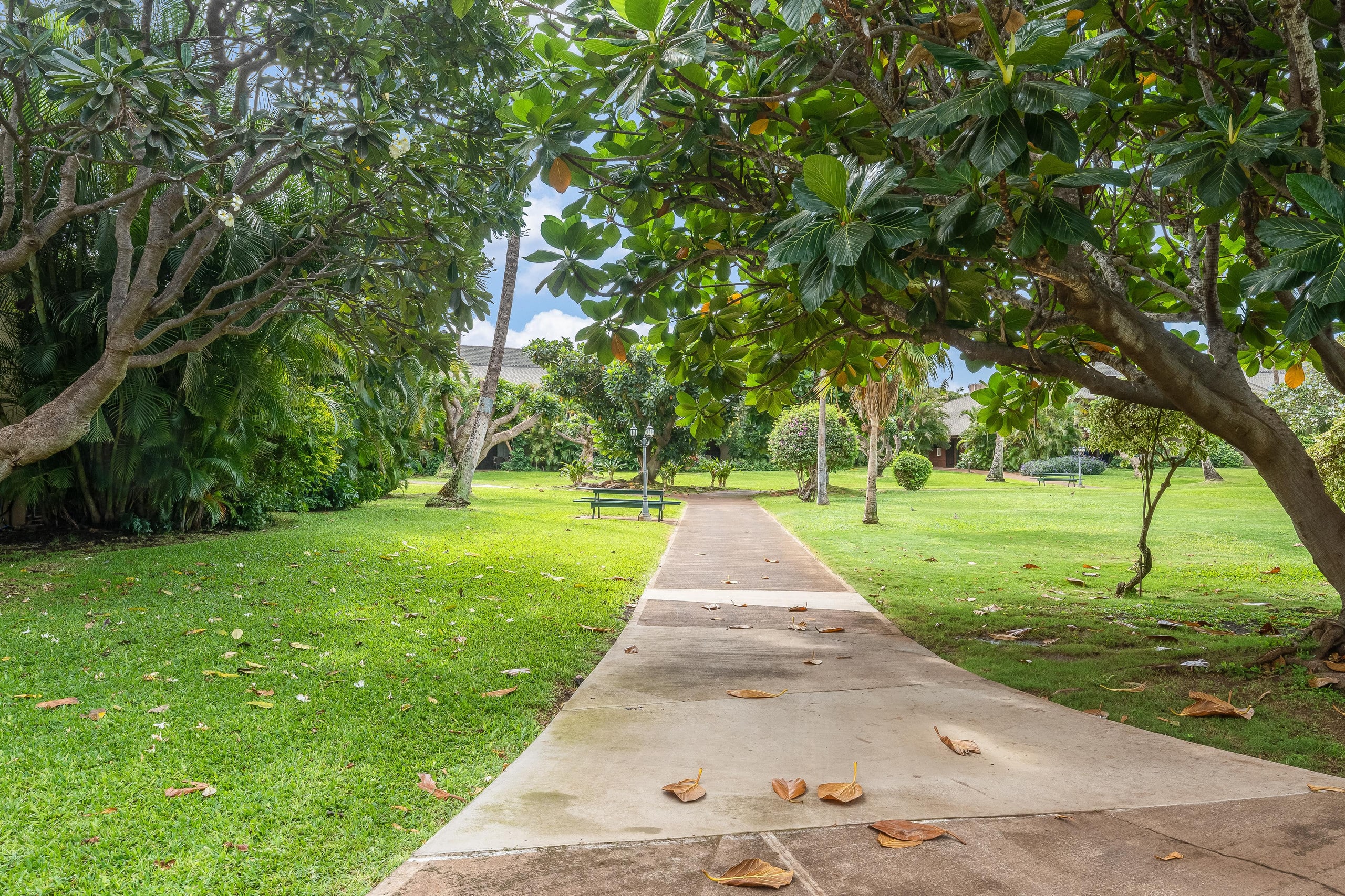 Condo in Kihei · ★5.0 · 3 bedrooms · 5 beds · 2 private baths - Image 105