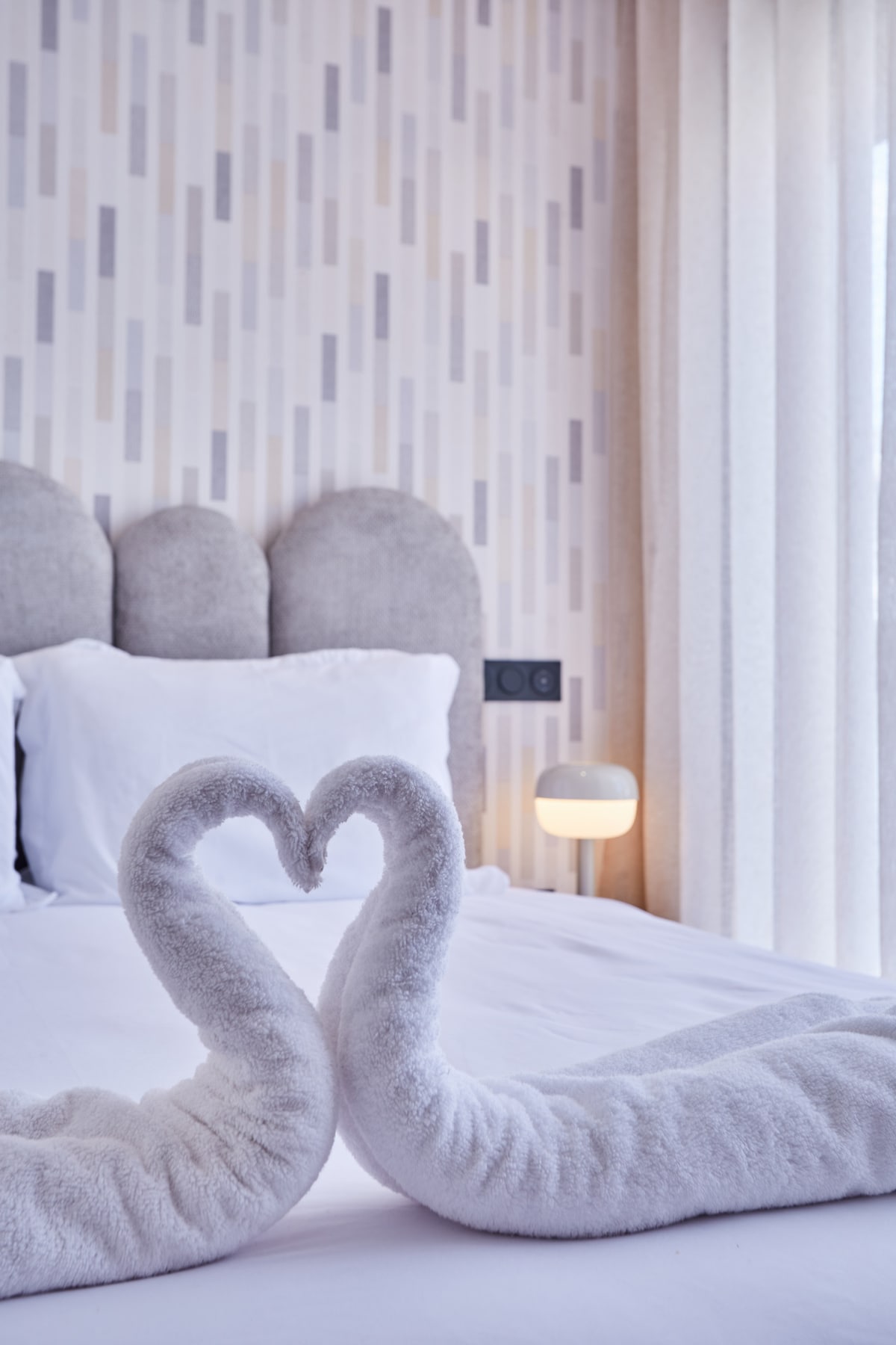 Rental unit in Casablanca  48  2 bedrooms  4 beds  2 baths - image 3