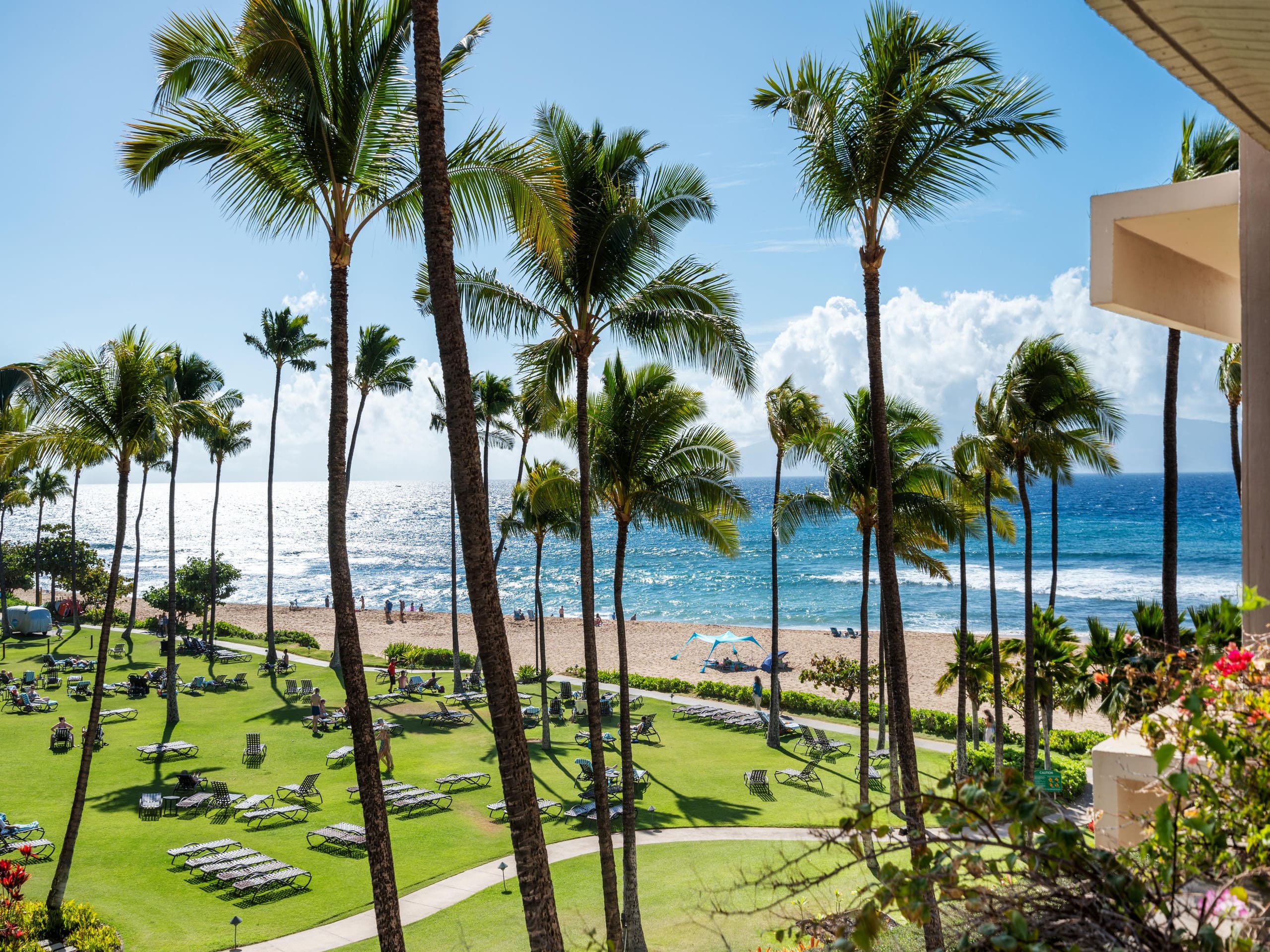 Live the Aloha Life w/ Ocean Views & Resort - Image 1
