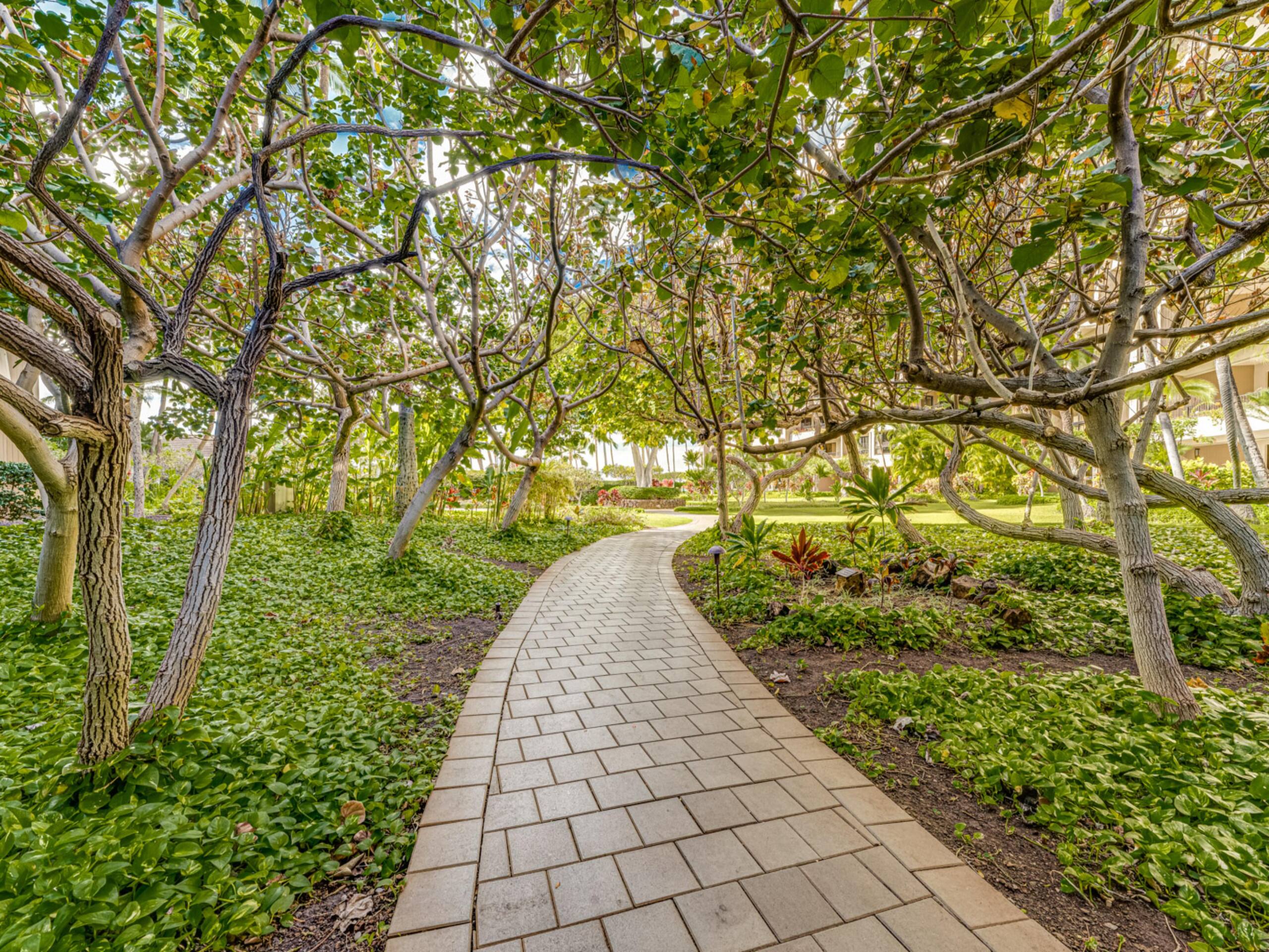 Live the Aloha Life w/ Ocean Views & Resort - Image 55