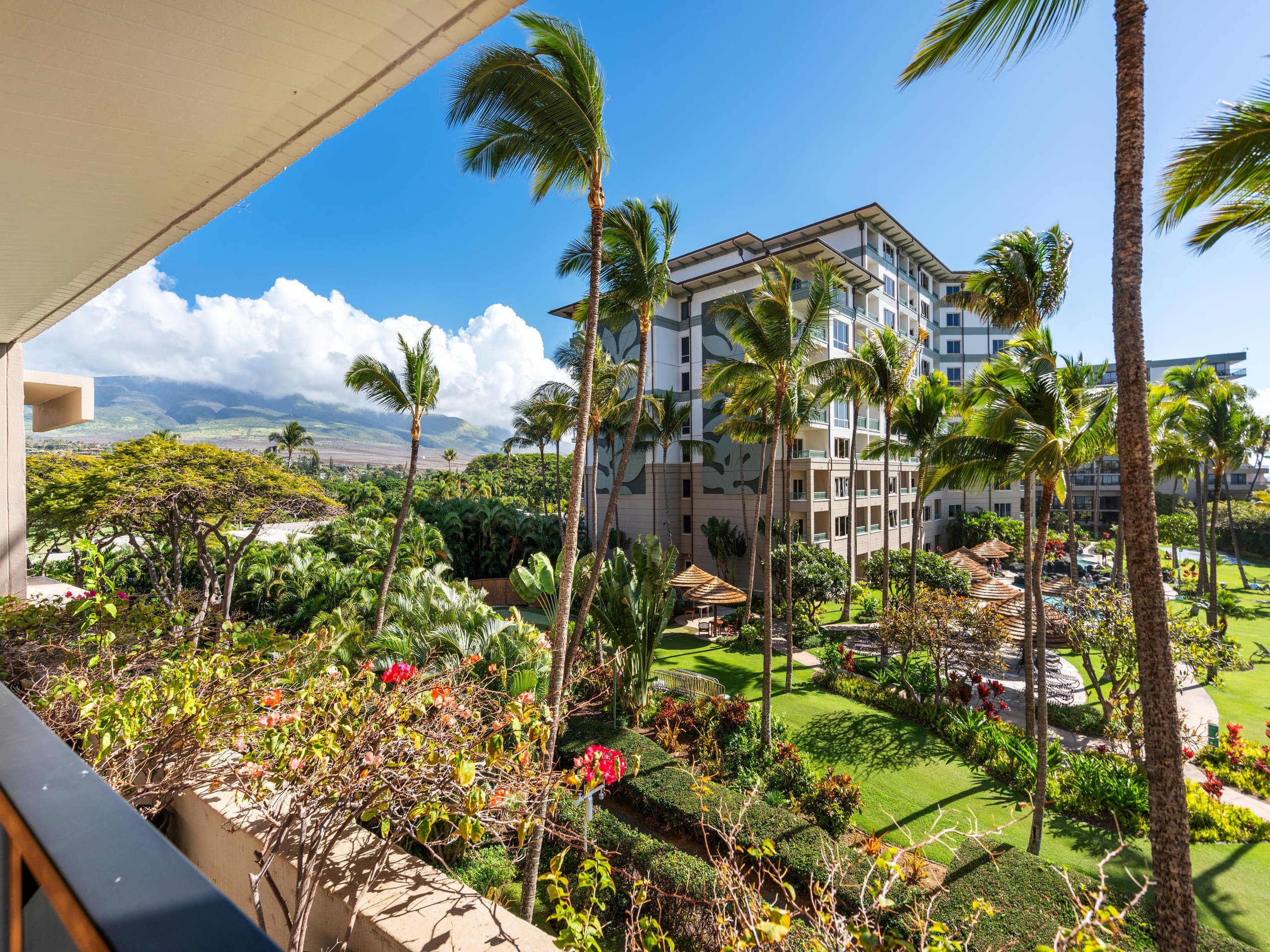 Live the Aloha Life w/ Ocean Views & Resort - Image 19