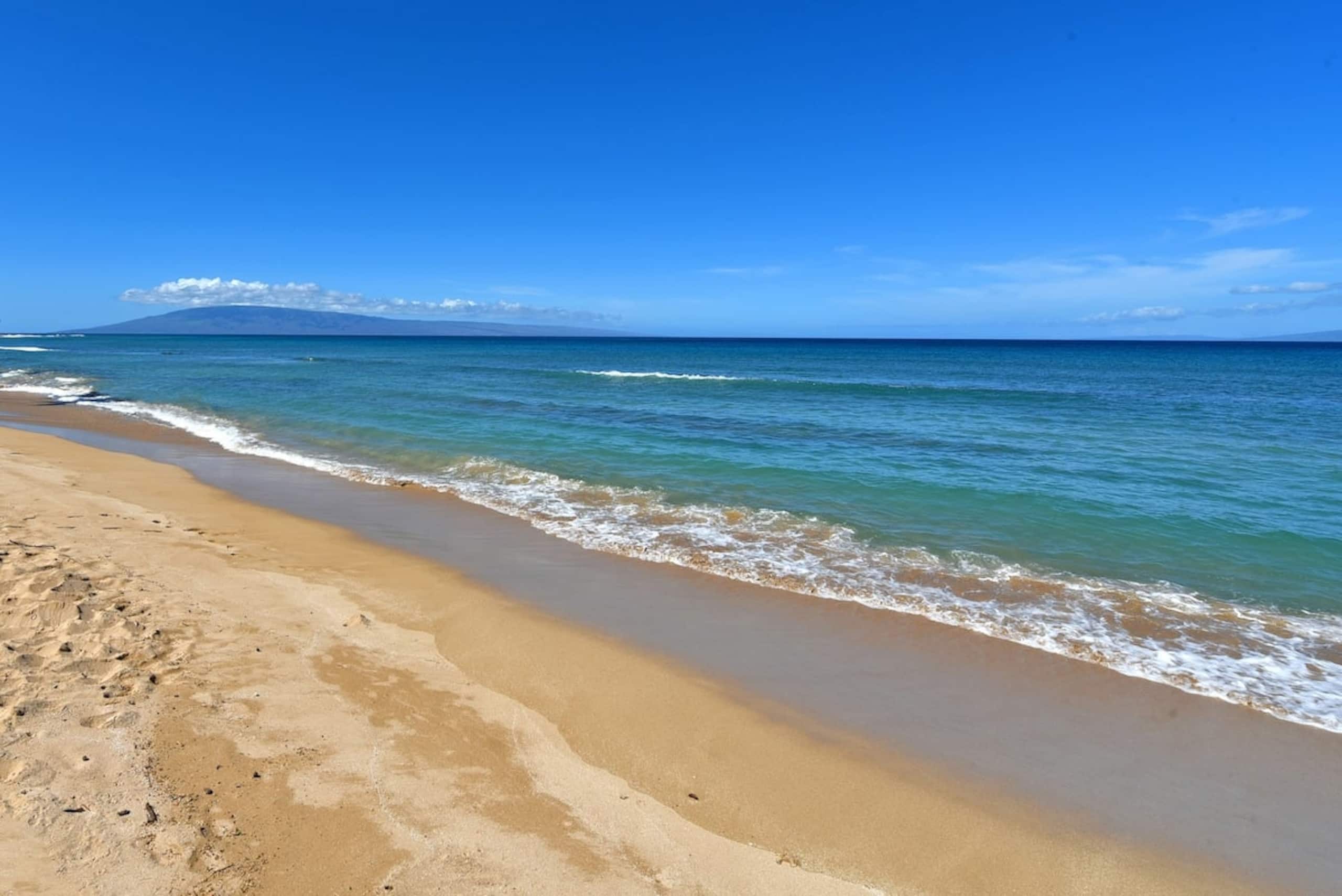 Condo in Lahaina · ★4.33 · 1 bedroom · 2 beds · 1 private bath - Image 26