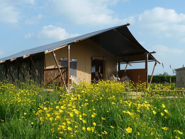Braeburn Lodge - Glastonbury