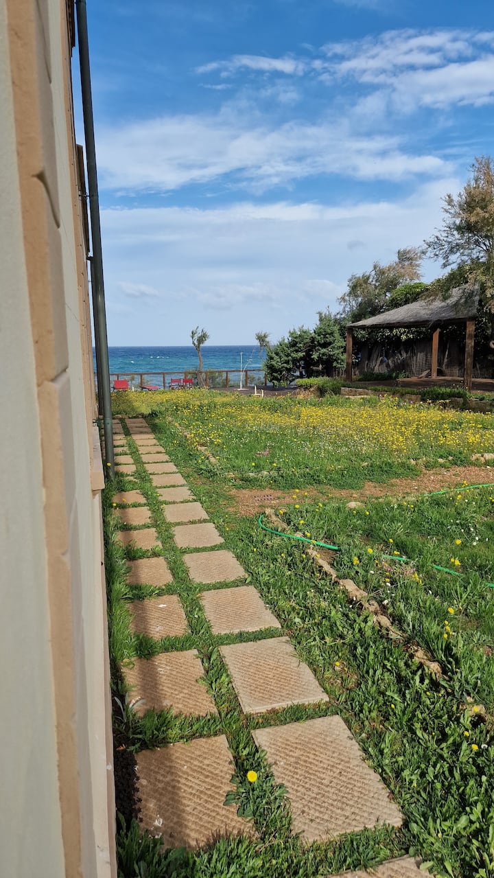 Détendez-vous Dans Le Vert 1 - Cala Dei Mori - Livorno
