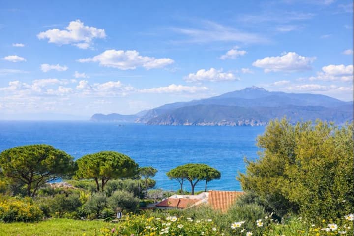 Le Muse Apartments - Appartamento Erato - Porto Azzurro