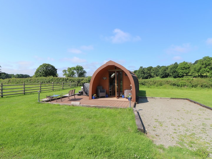 Bwthyn Bach Brefi - Lampeter