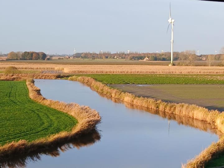 Ferienwohnung Schwarz - Langeoog