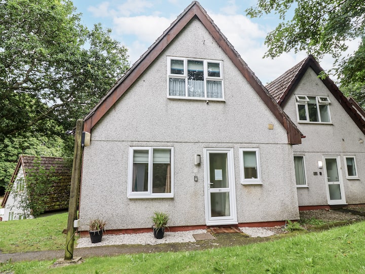 Valley Lodge 20 - Tavistock