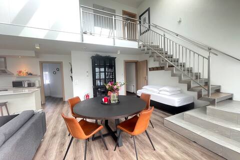 Modern and Stylish apartment in downtown Reykjavik