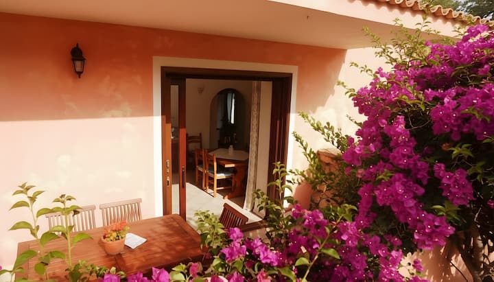 Villa Oliva Pittulongu - Olbia
