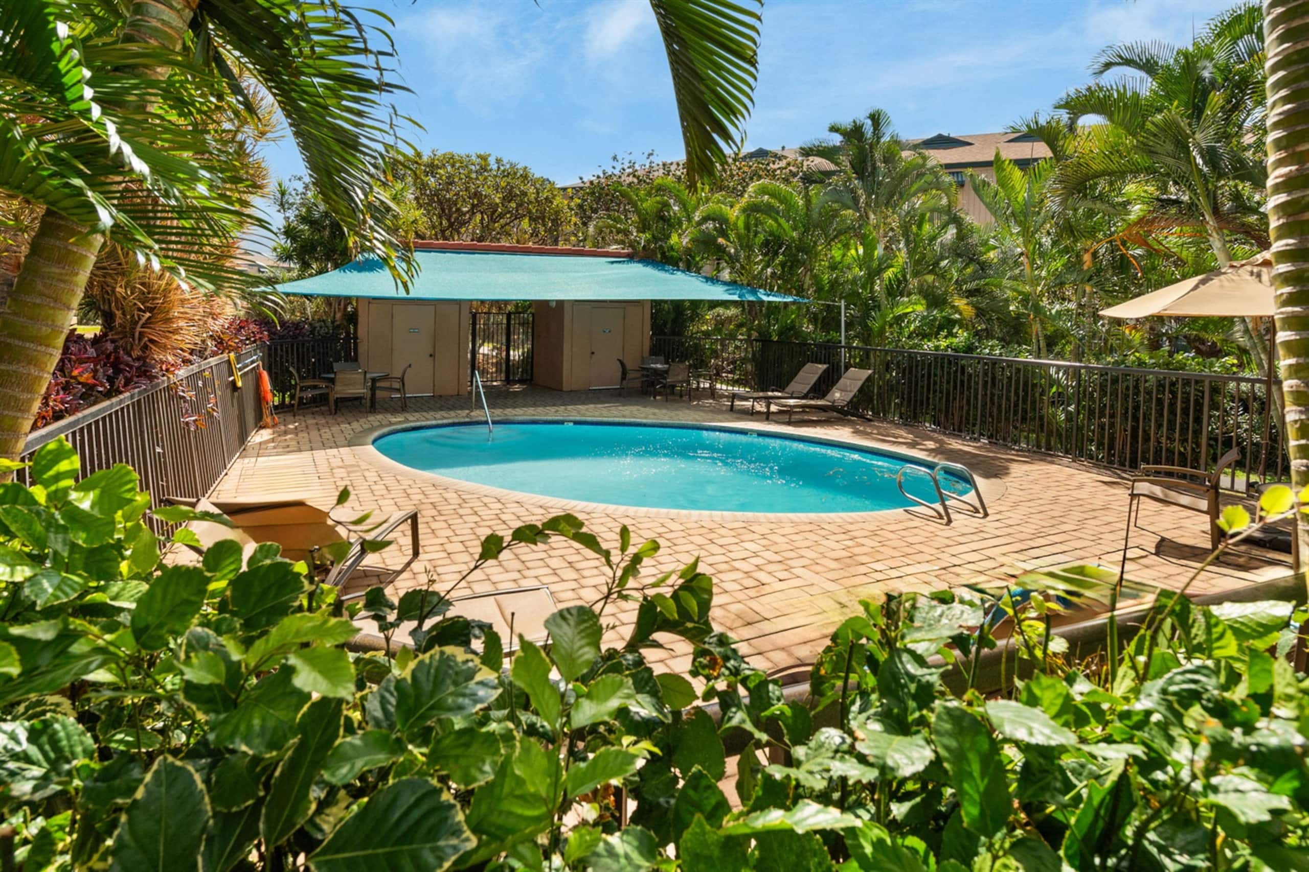 Maui Vista in Kihei | Walk to Beach, Pool & Tennis - Image 1