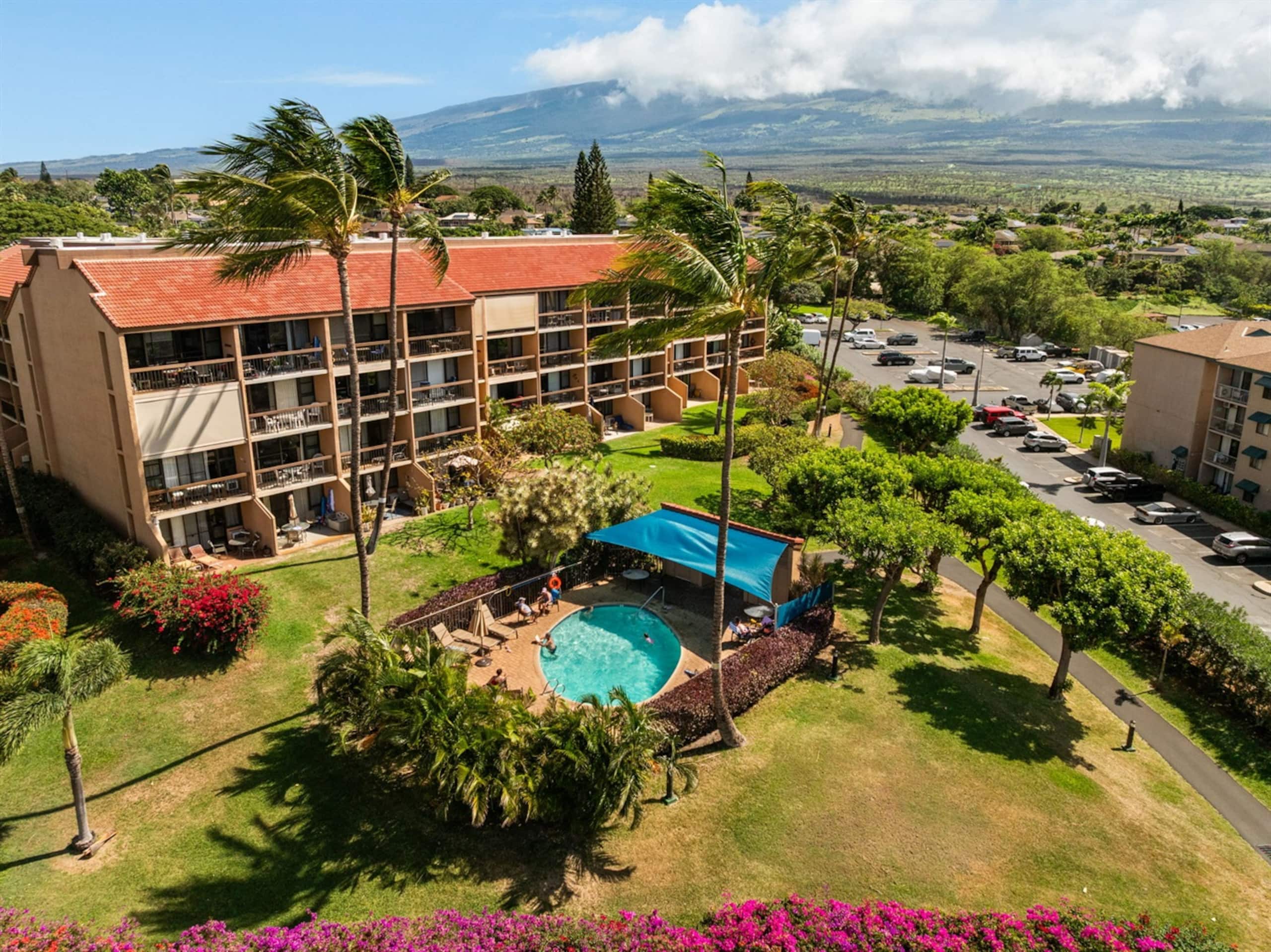 Maui Vista in Kihei | Walk to Beach, Pool & Tennis - Image 22