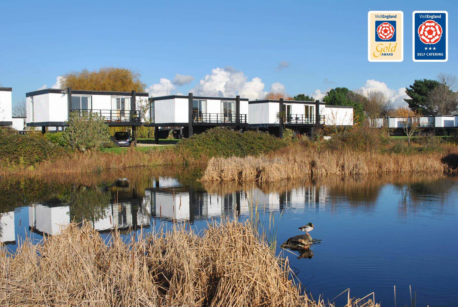6 Avocet Quay - een lodge / cabine die voor 4 personen in 2 slaapkamers