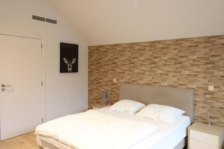 Classic Studio - Maaseik