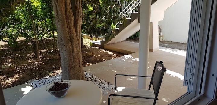 Mandarin Apartaments - Apartment Mandarin - Sveti Filip i Jakov