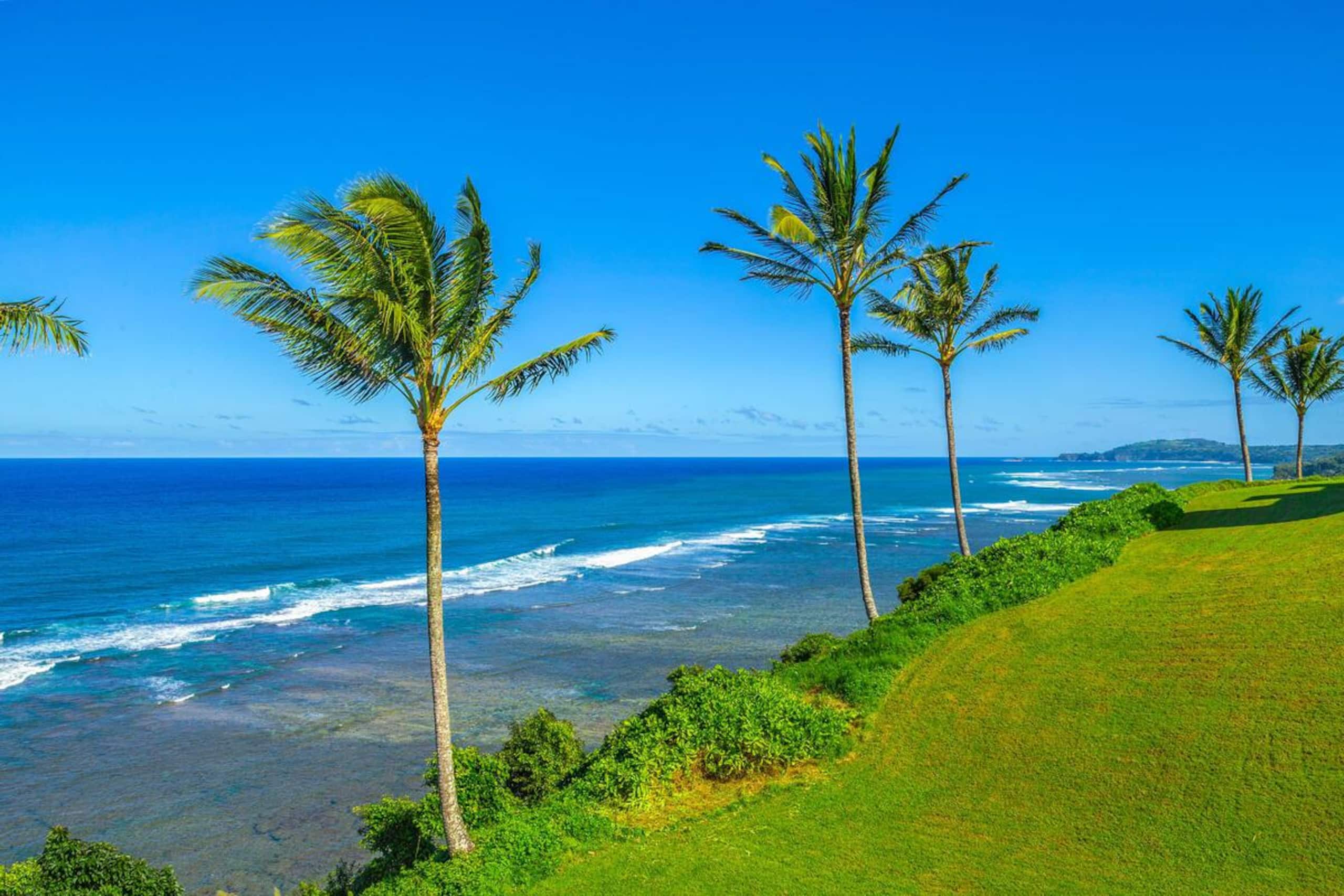 Condo in Princeville · ★4.92 · 1 bedroom · 2 beds · 1 bath - Image 20