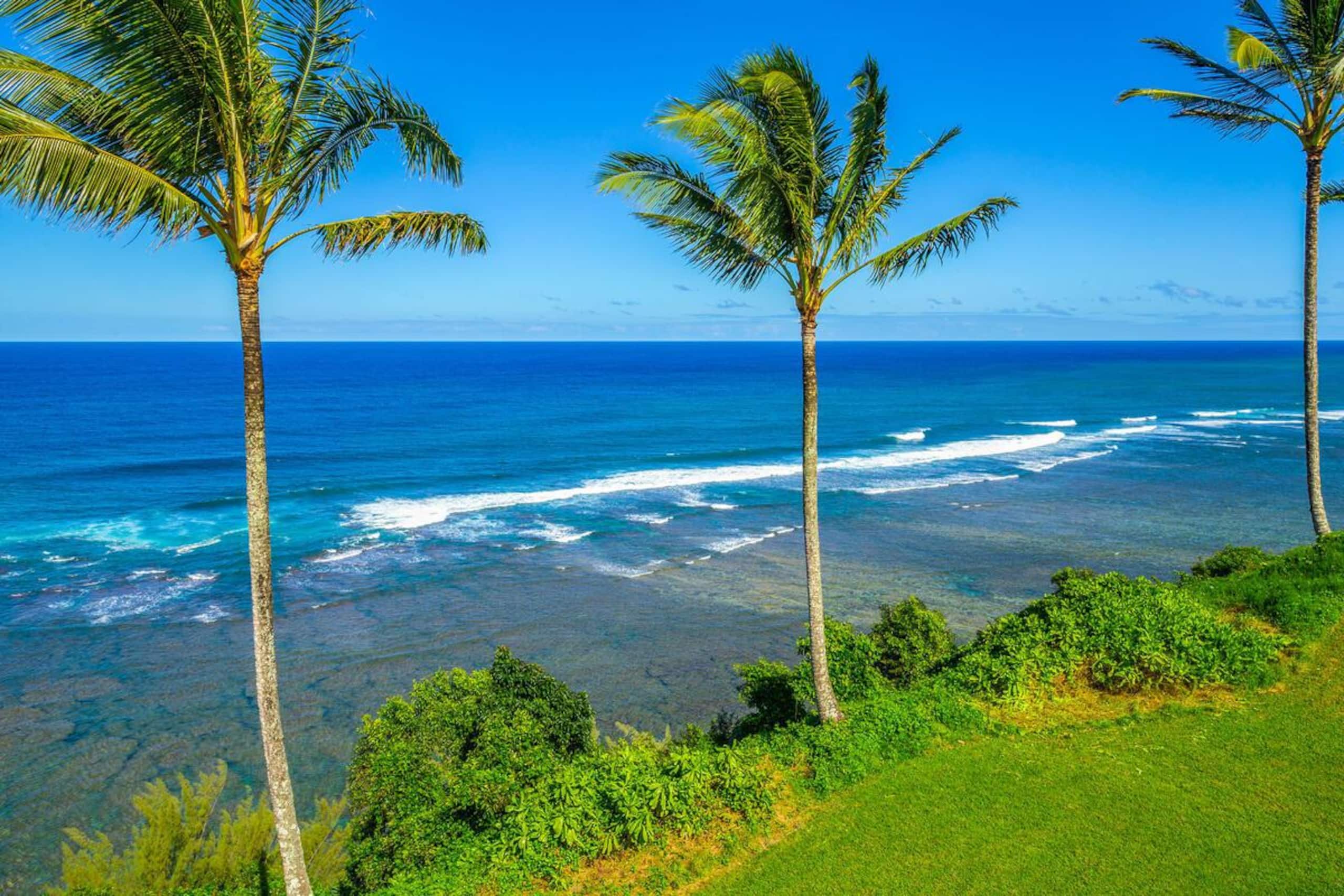 Condo in Princeville · ★4.92 · 1 bedroom · 2 beds · 1 bath - Image 21
