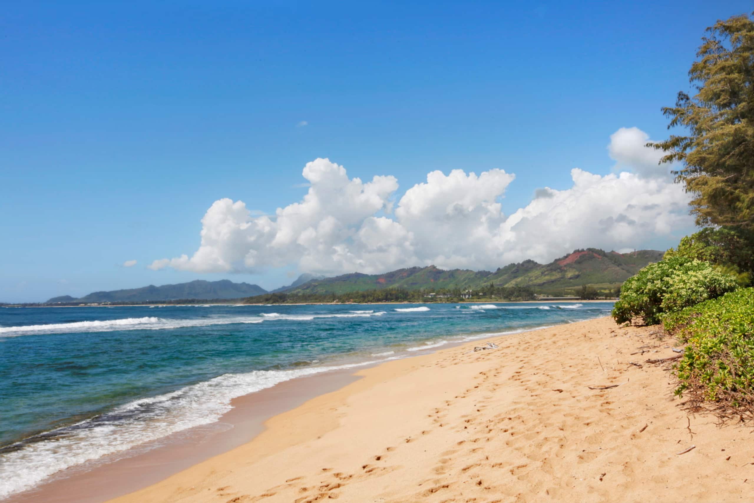 Islander on the Beach 246 - Photo 9