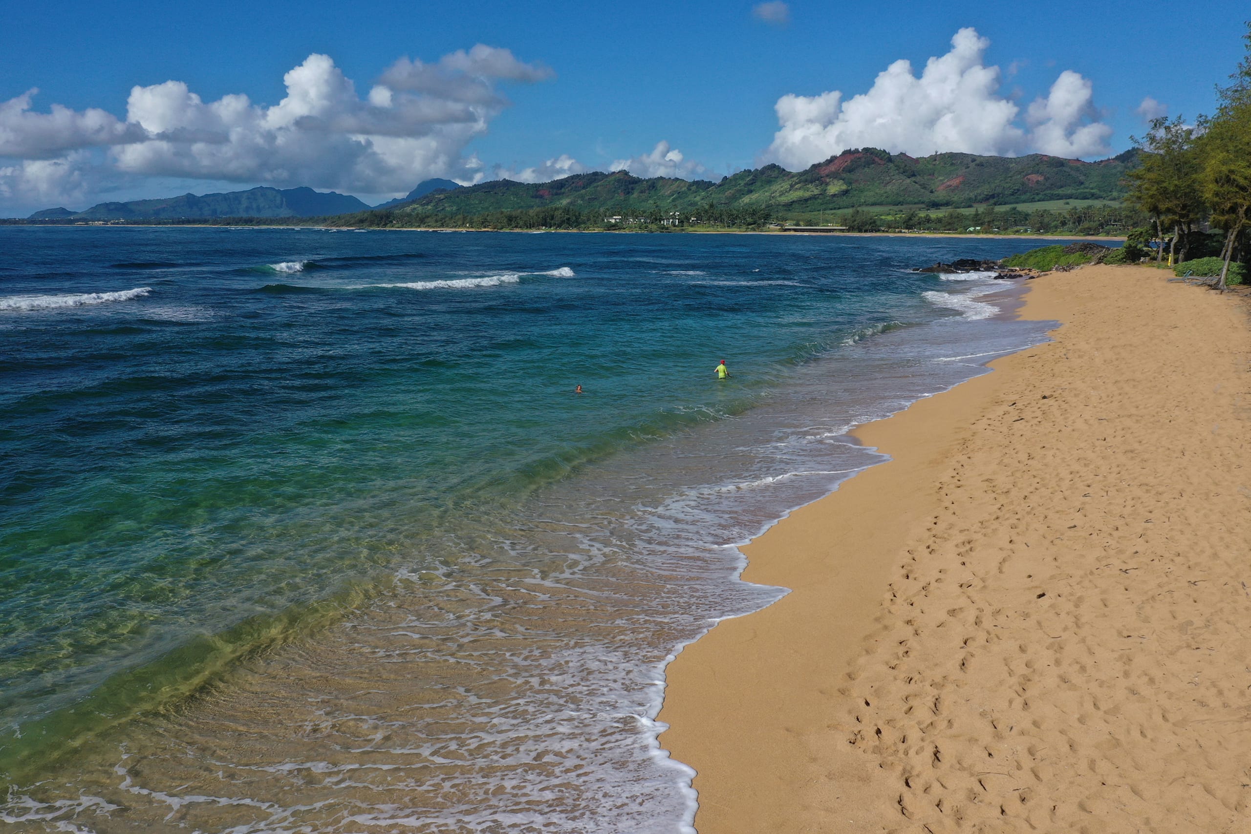 Islander on the Beach 246 - Photo 15