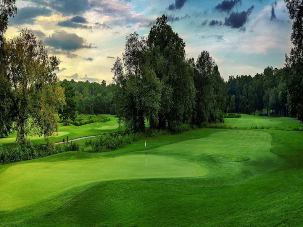 Stylish Room Perfect for Golf Enthusiasts & Couple