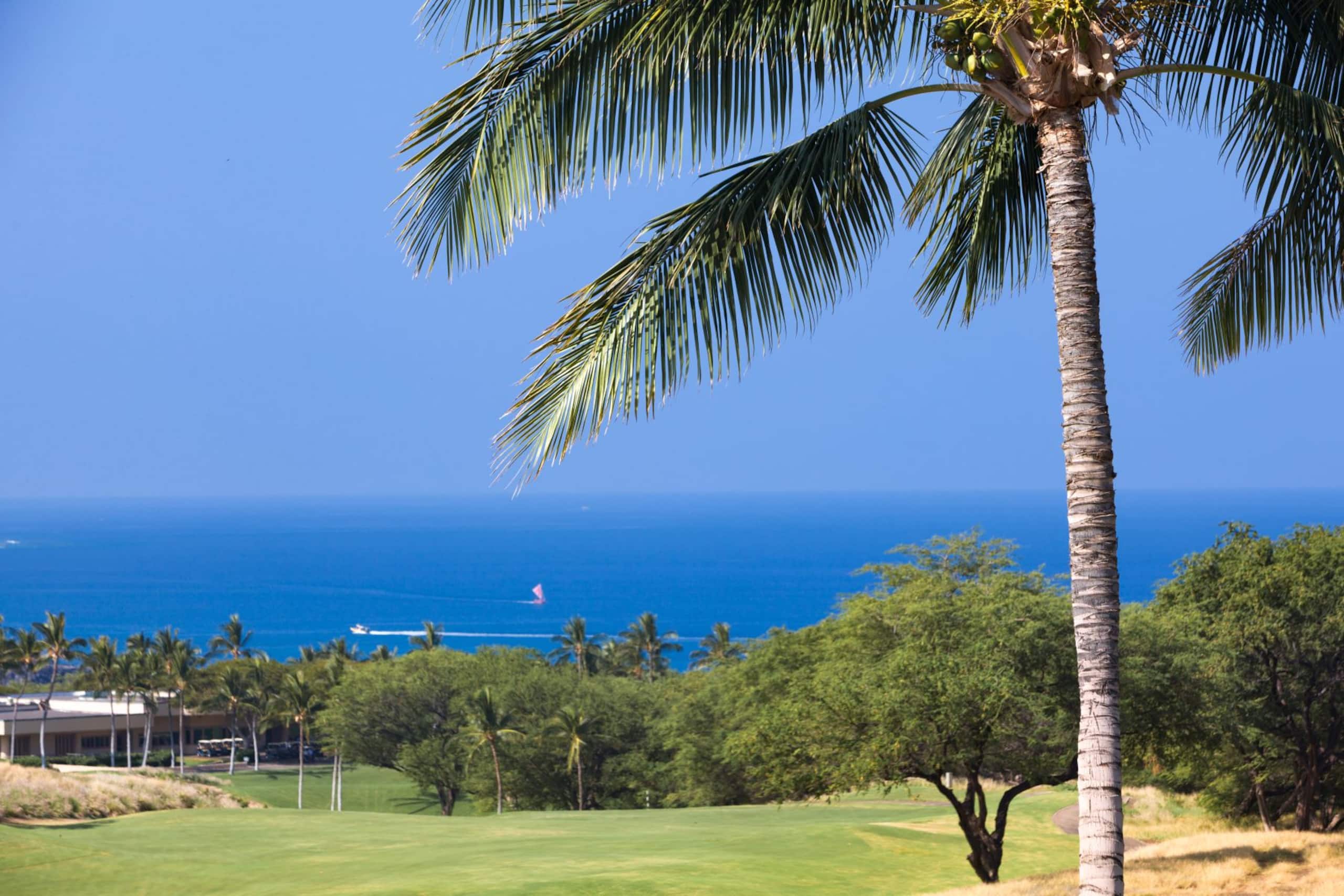 Home in Waimea · ★5.0 · 4 bedrooms · 6 beds · 4.5 baths - Image 3