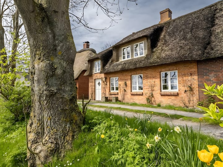 Westertilli 8 Reetdachhaus Mit - Pellworm