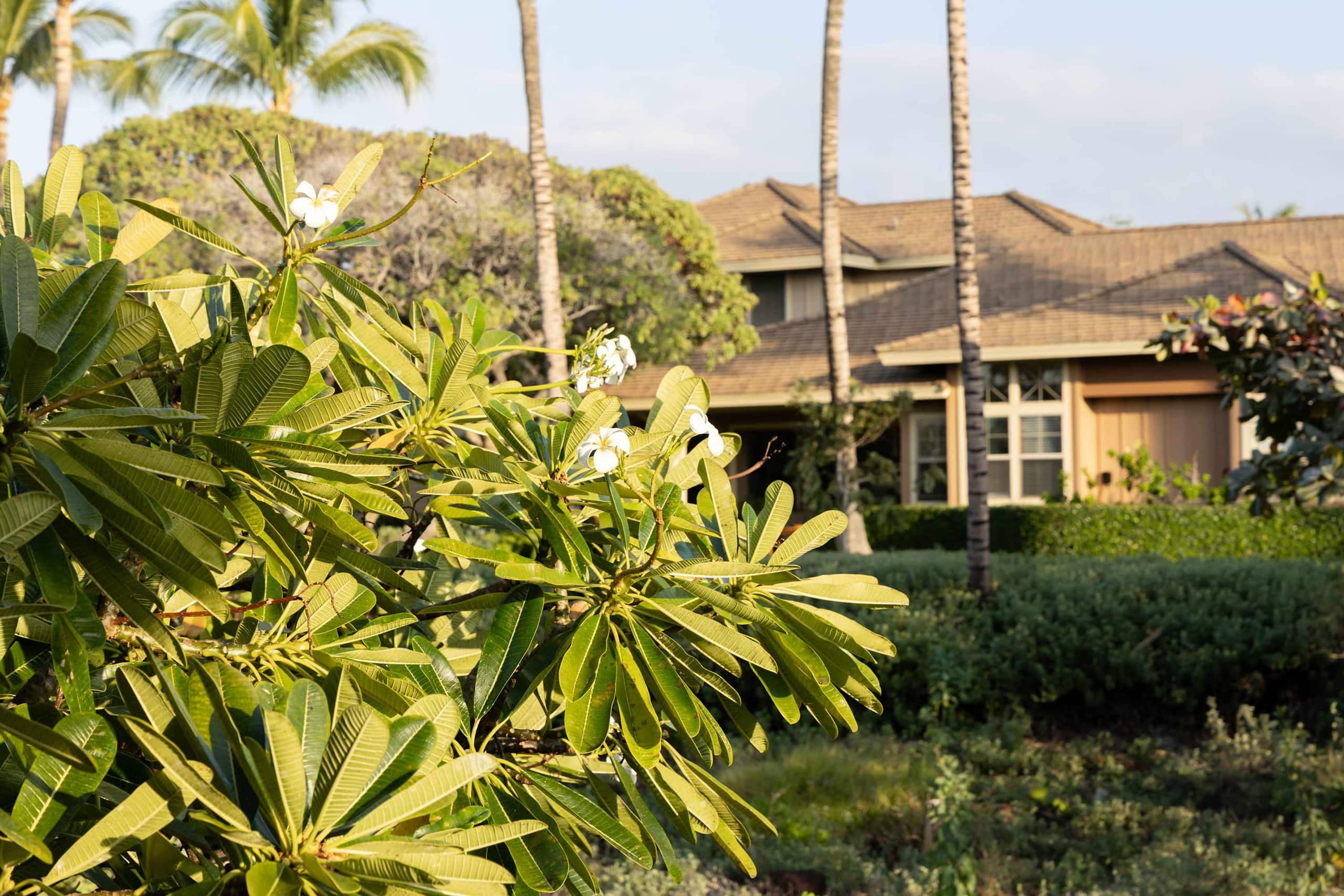 Villa in Waimea · ★4.94 · 4 bedrooms · 9 beds · 3.5 baths - Image 88