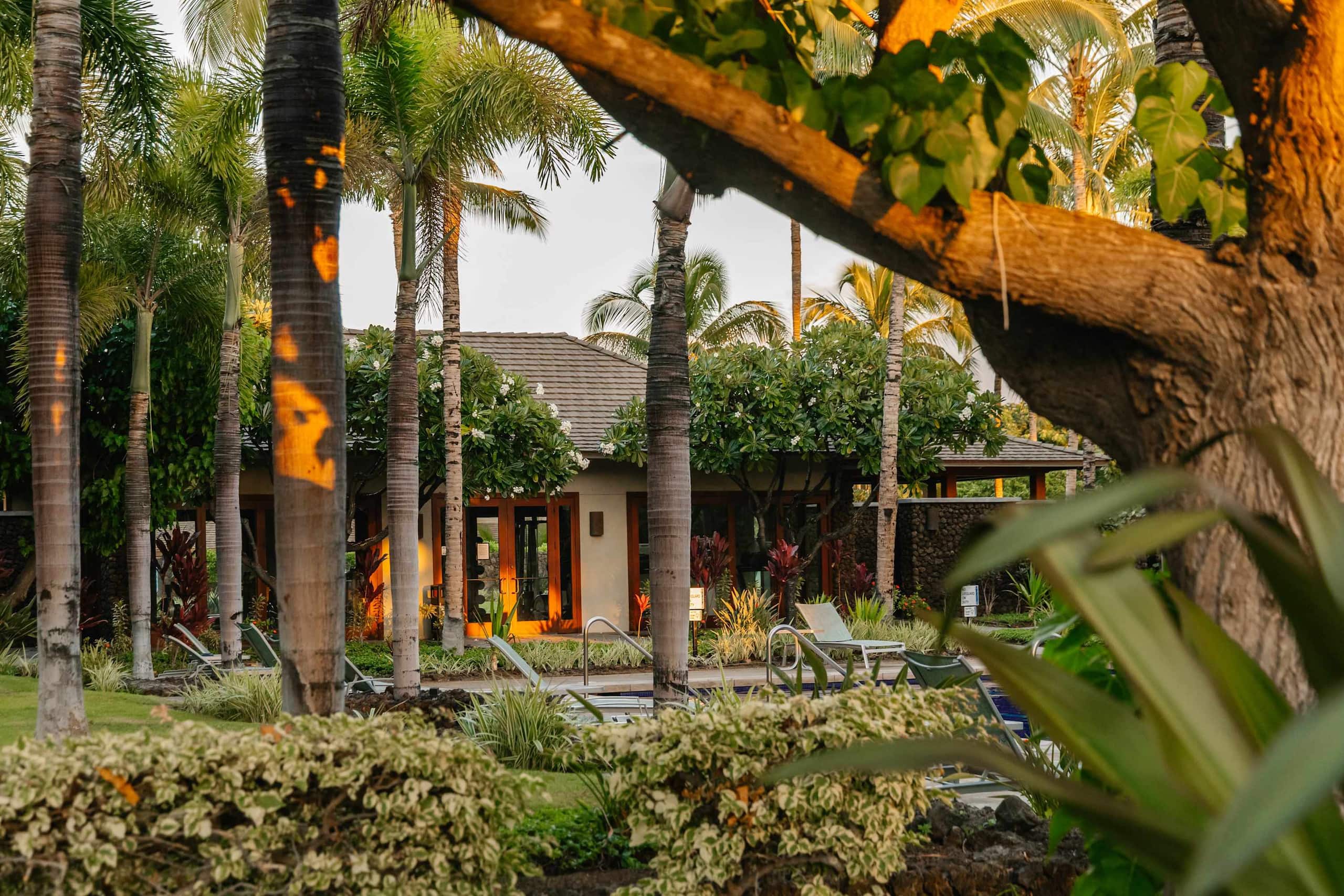Villa in Waimea · ★4.94 · 4 bedrooms · 9 beds · 3.5 baths - Image 184