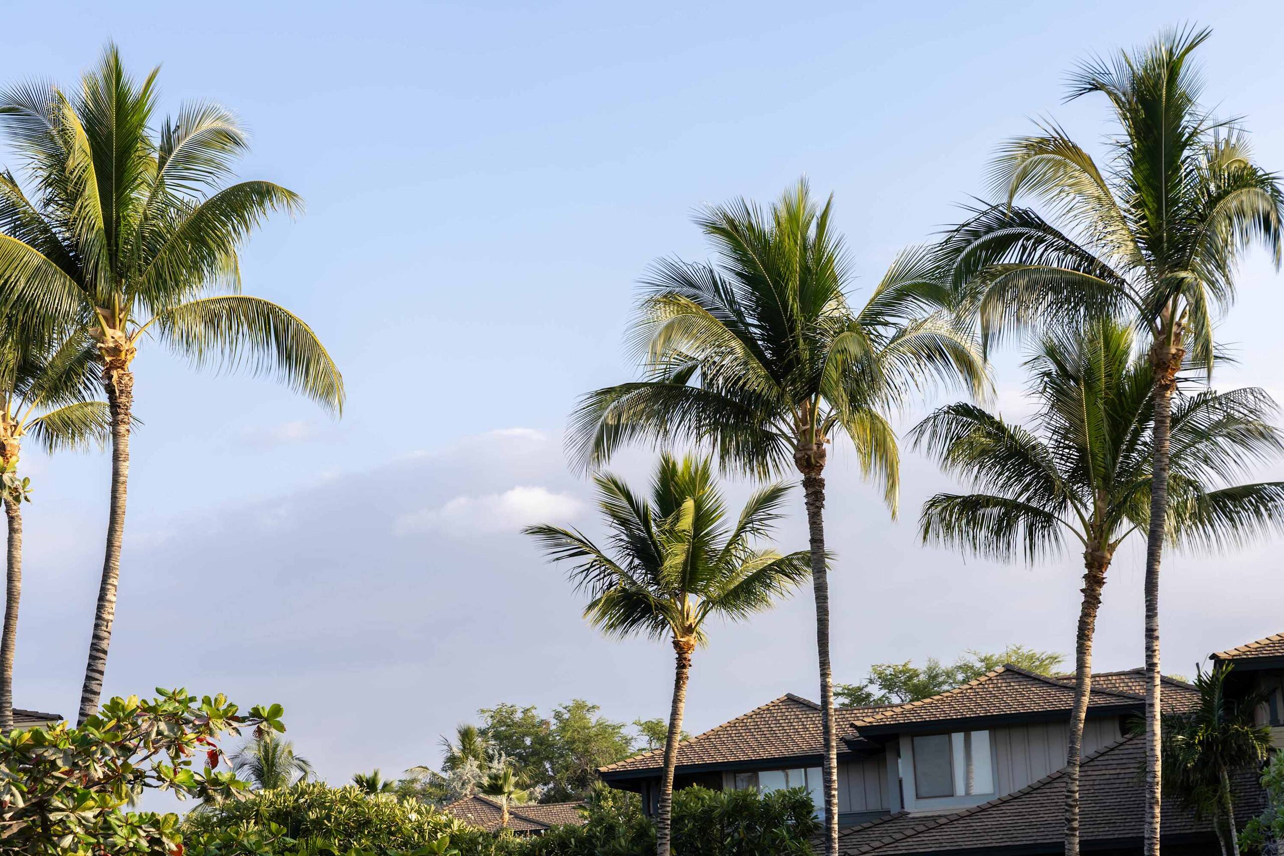 Villa in Waimea · ★4.94 · 4 bedrooms · 9 beds · 3.5 baths - Image 138