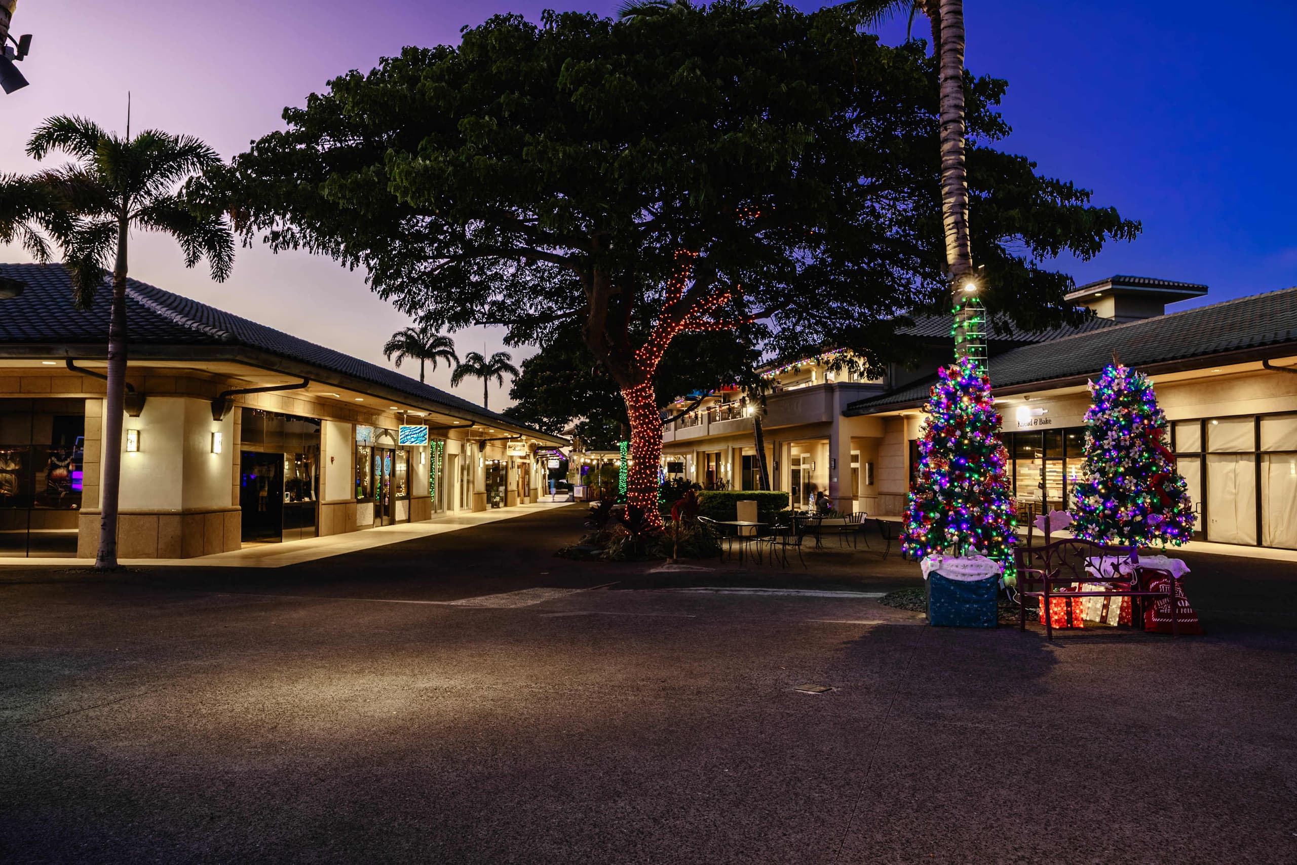 Villa in Waimea · ★4.94 · 4 bedrooms · 9 beds · 3.5 baths - Image 226