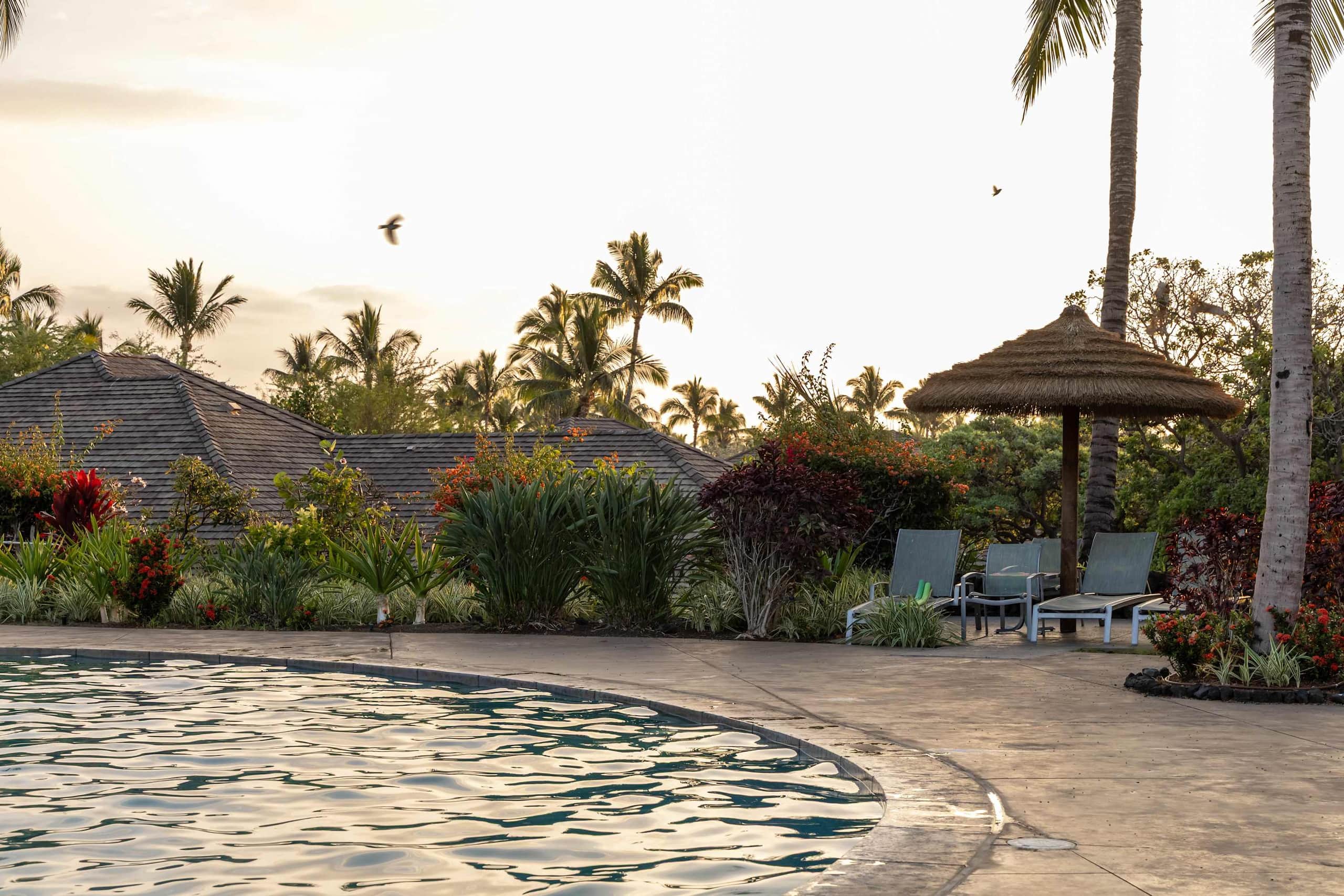 Villa in Waimea · ★4.94 · 4 bedrooms · 9 beds · 3.5 baths - Image 165