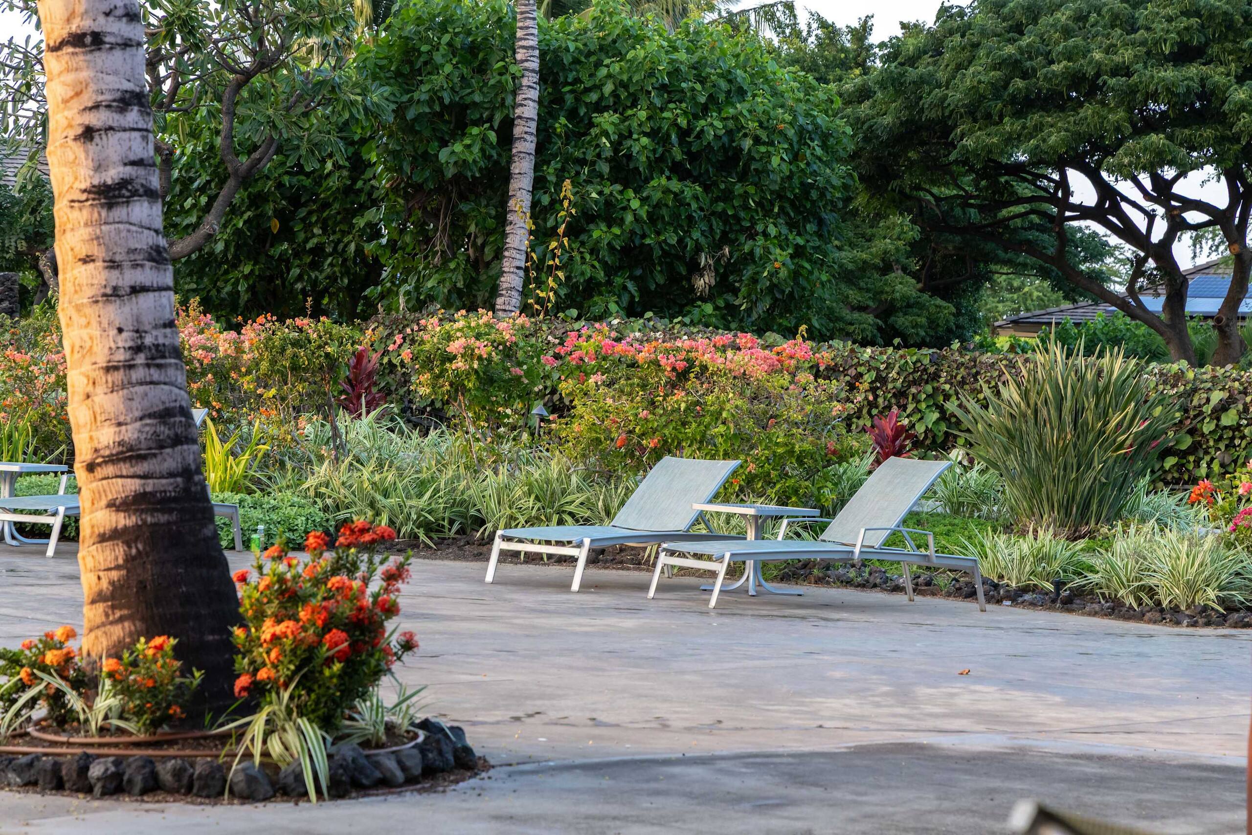 Villa in Waimea · ★4.94 · 4 bedrooms · 9 beds · 3.5 baths - Image 168