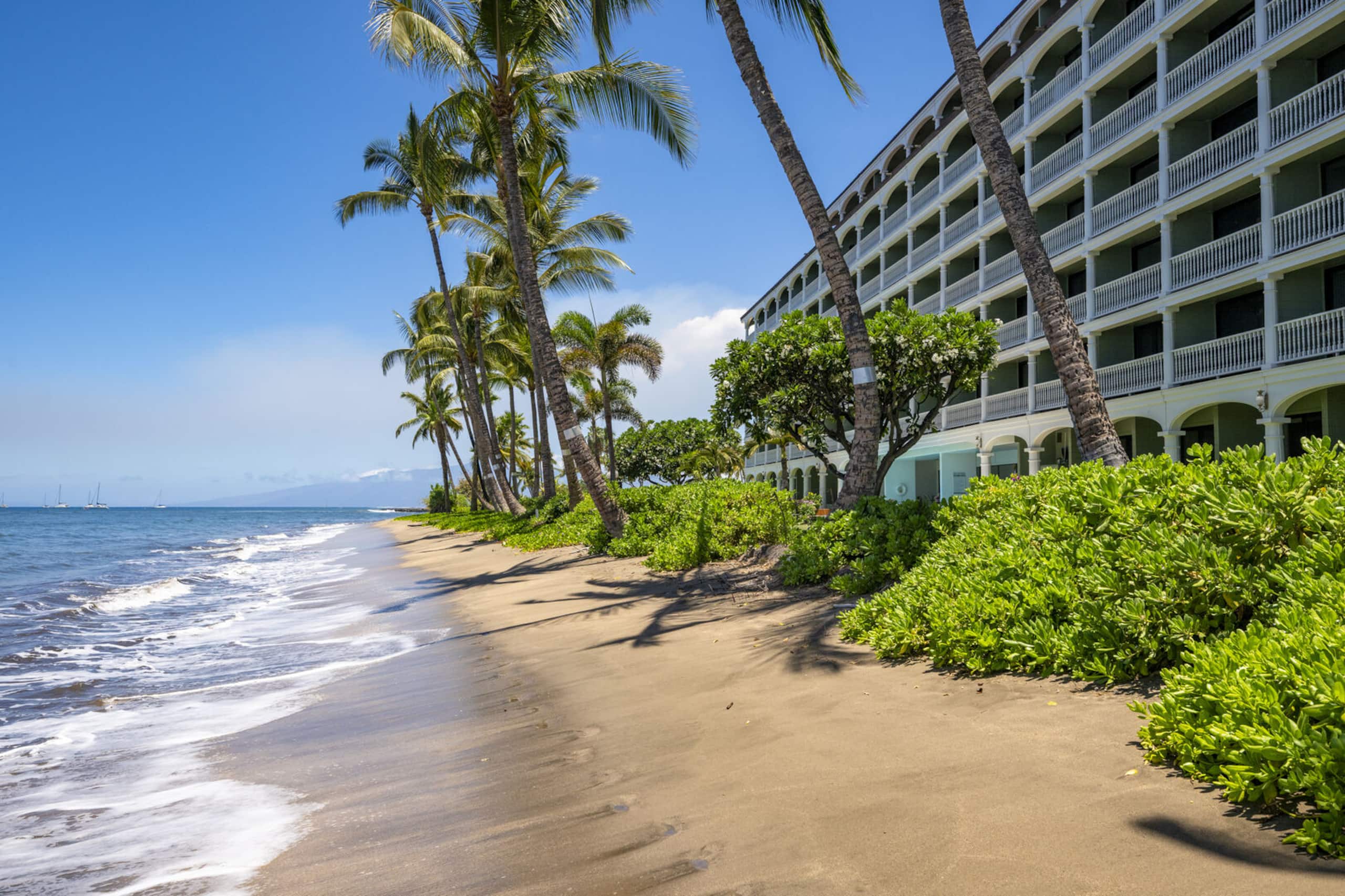 Condo in Lahaina · ★4.86 · 1 bedroom · 1 bed · 1 private bath - Image 19