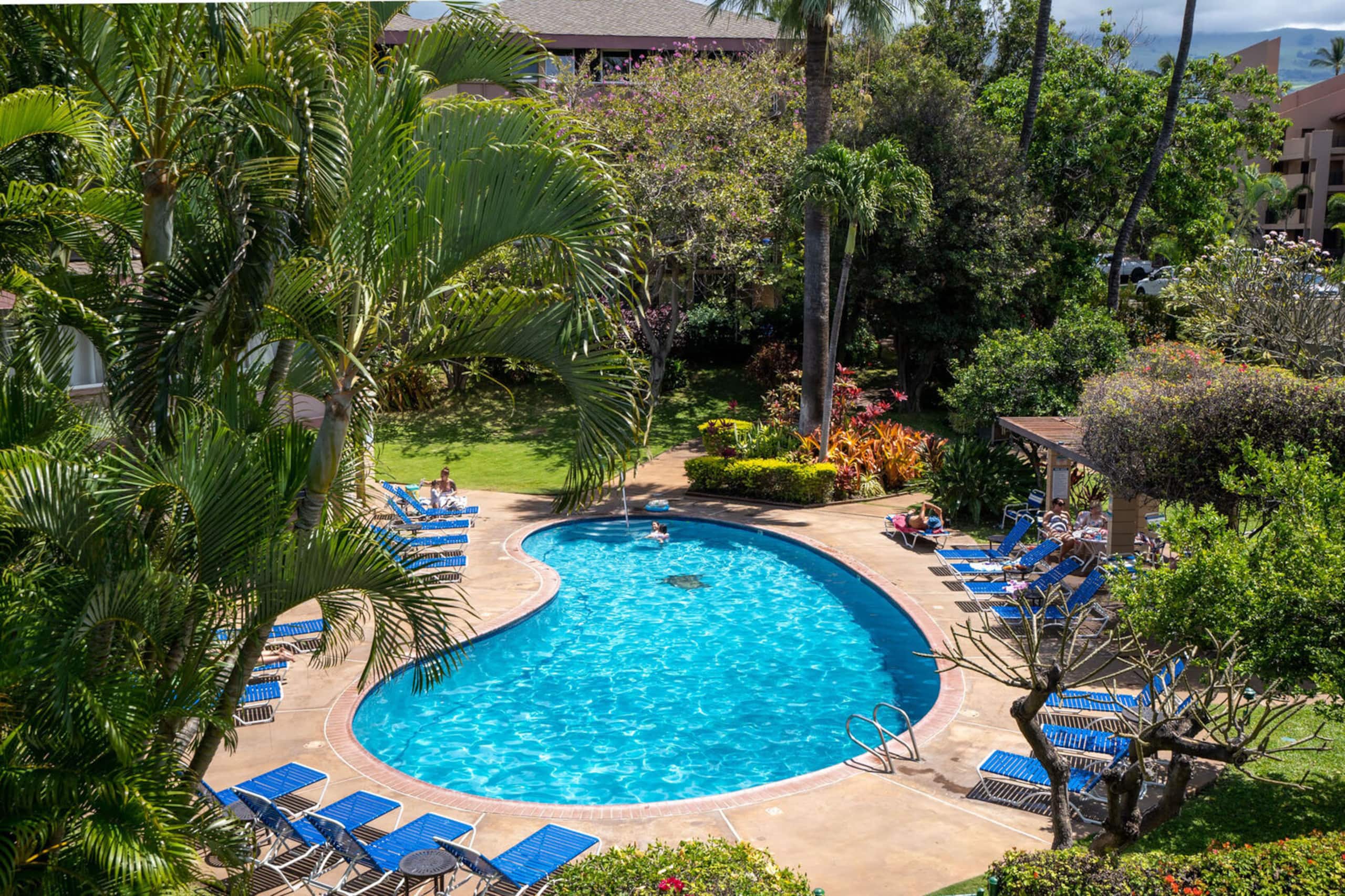 Condo in Kihei · ★5.0 · 2 bedrooms · 2 beds · 2 private baths - Image 34