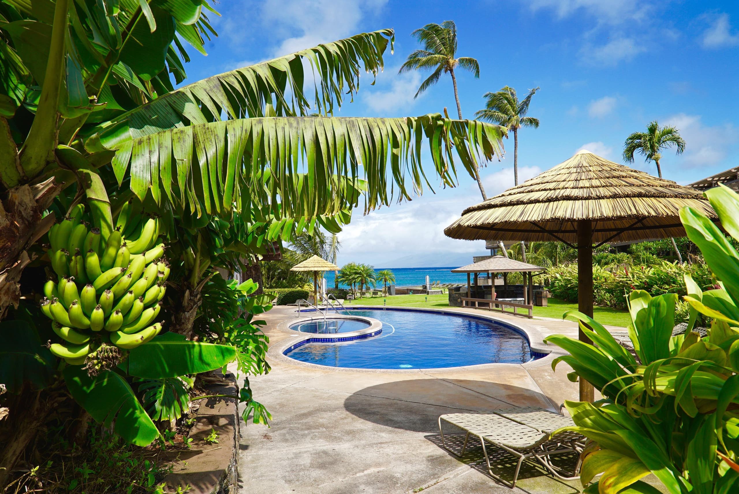 Condo in Lahaina · ★5.0 · 2 bedrooms · 3 beds · 2 baths - Image 39