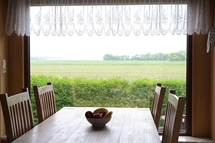 Feldkieker - Friedrichskoog