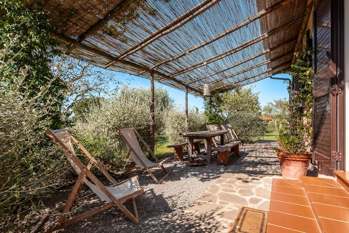 Appartamenti Vallerana Il Noce - Capalbio