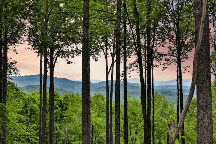 Knotty by Nature - Cabins for Rent in Blue Ridge, Georgia, United