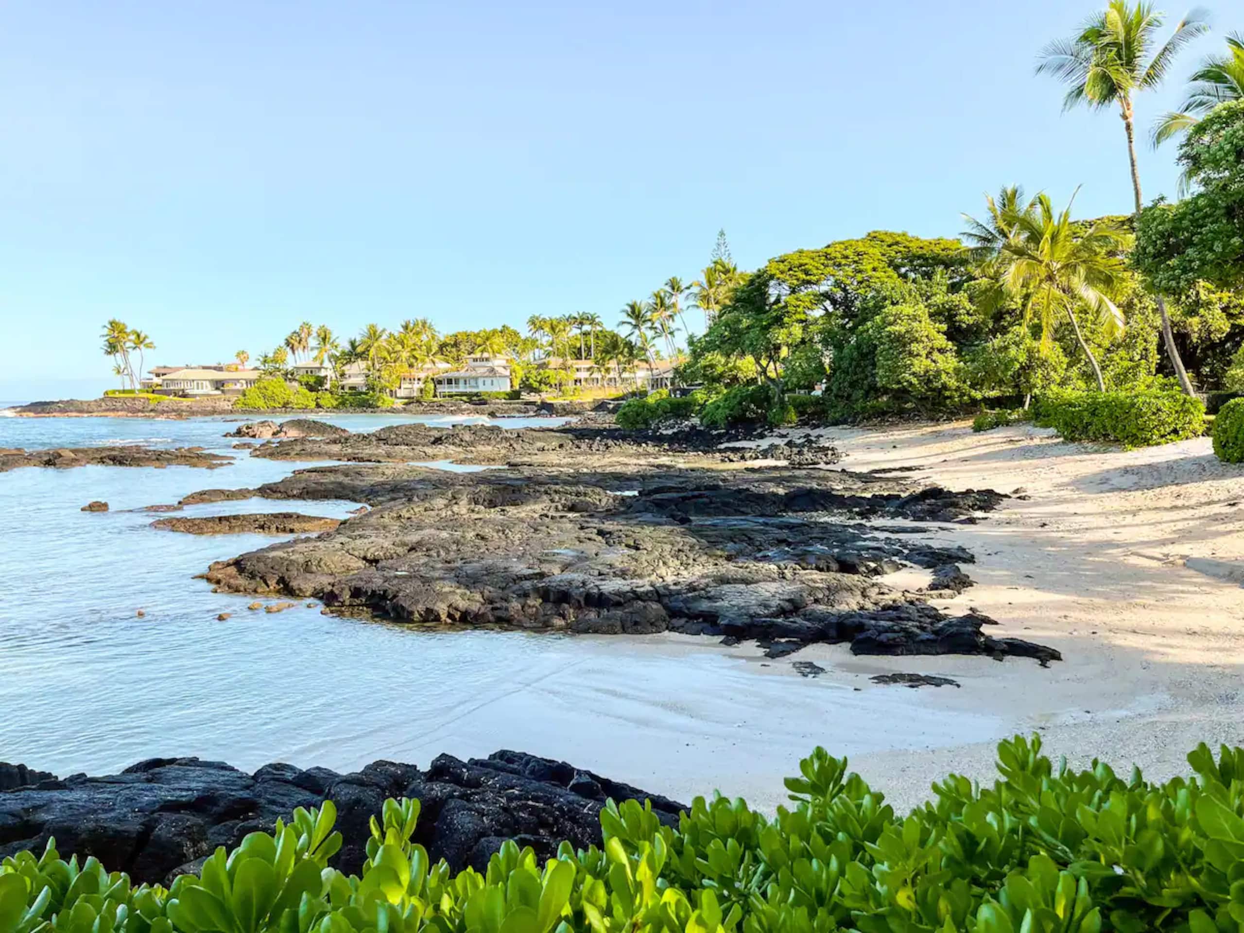 Seaside Cottage - The beach is your front yard! - Image 46