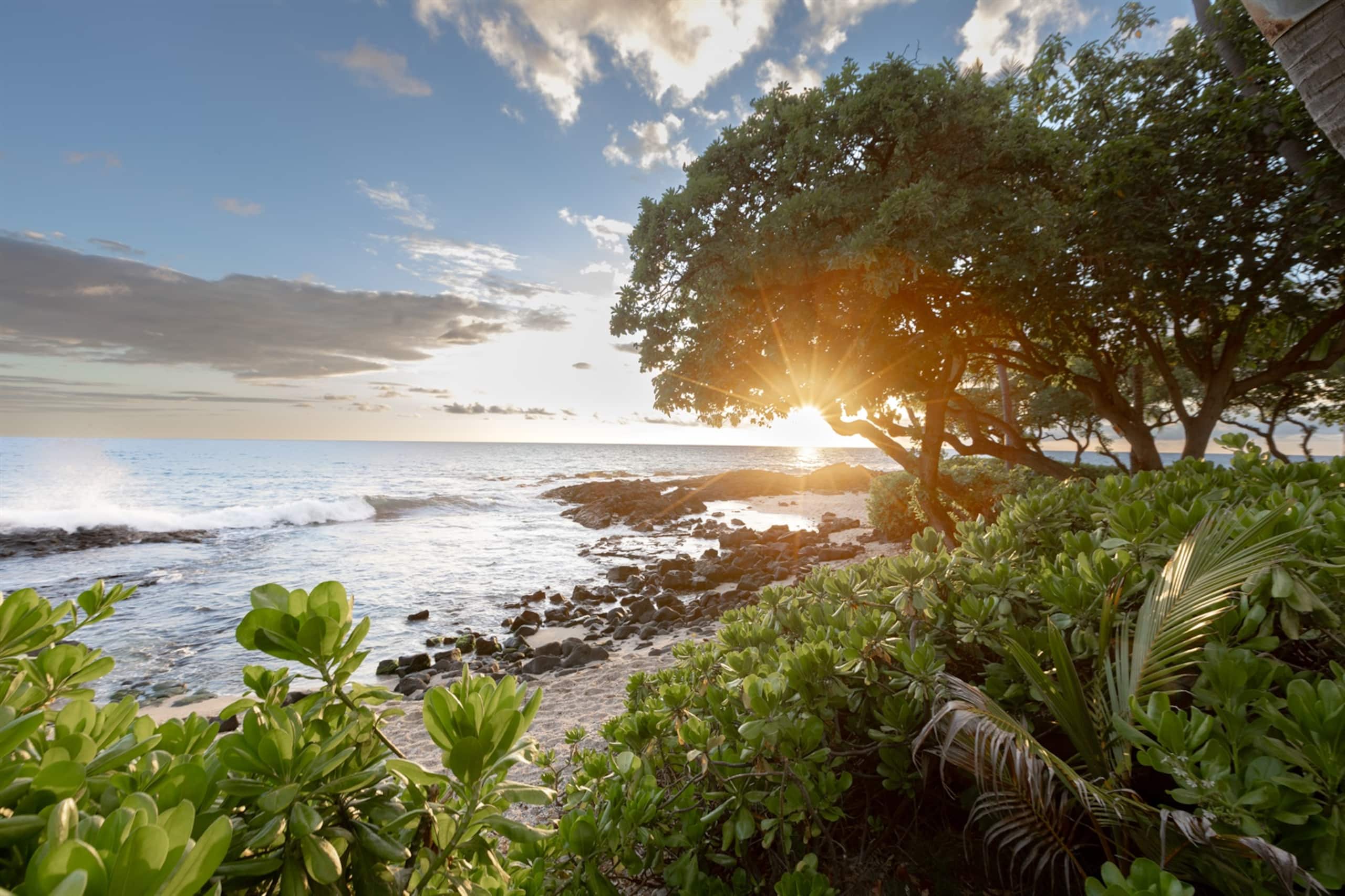 Seaside Cottage - The beach is your front yard! - Image 48