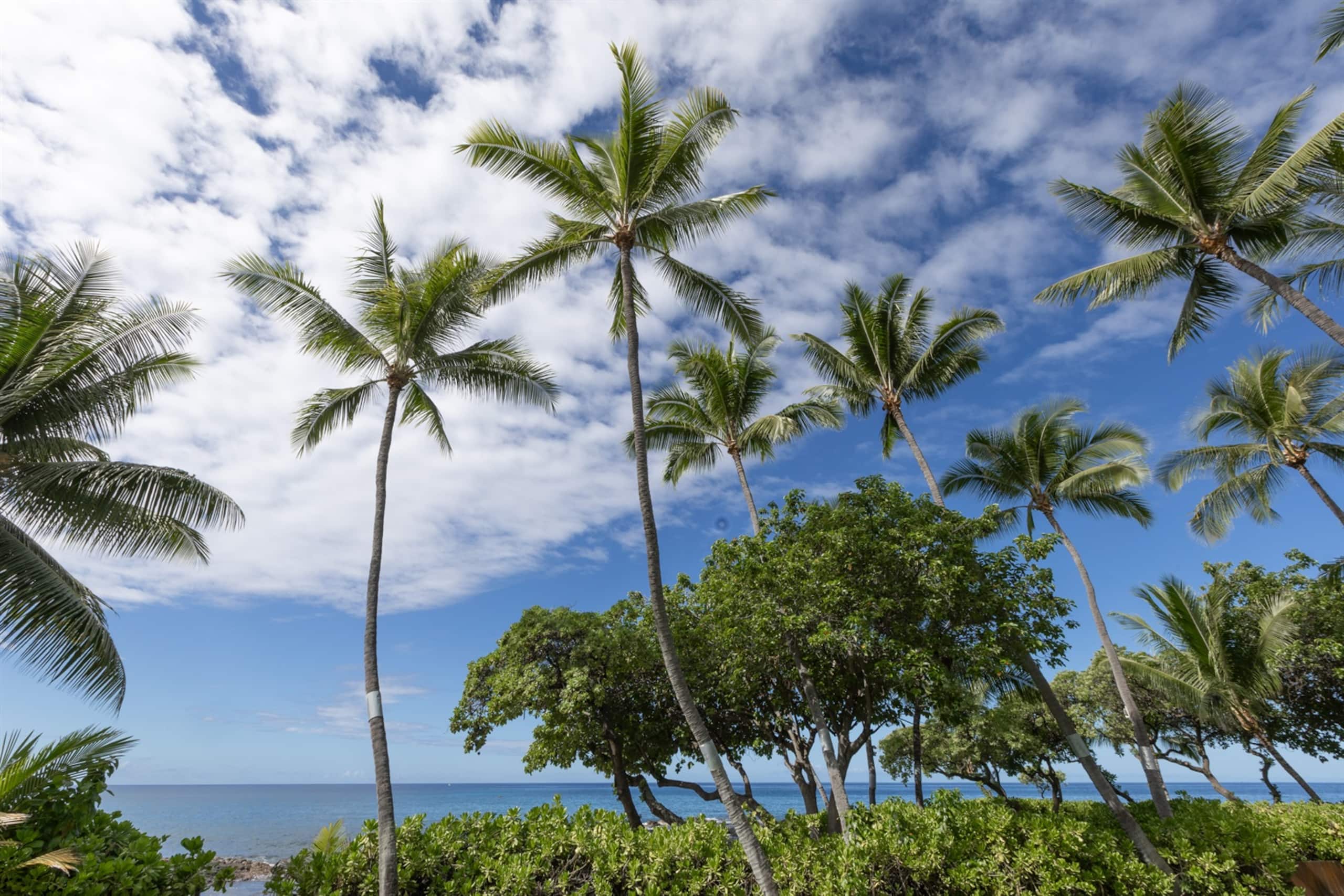 Seaside Cottage - The beach is your front yard! - Image 50