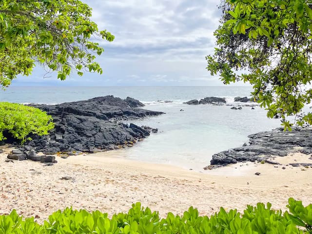 Seaside Cottage – The beach is your front yard!