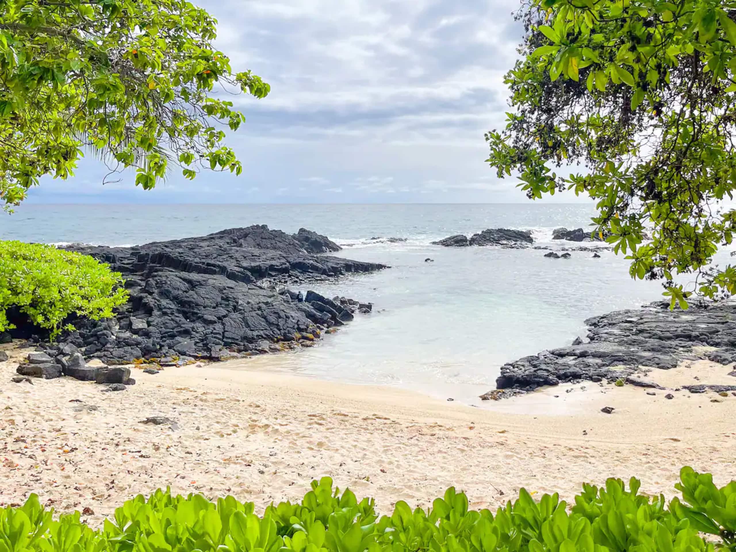 Seaside Cottage - The beach is your front yard! - Image 1