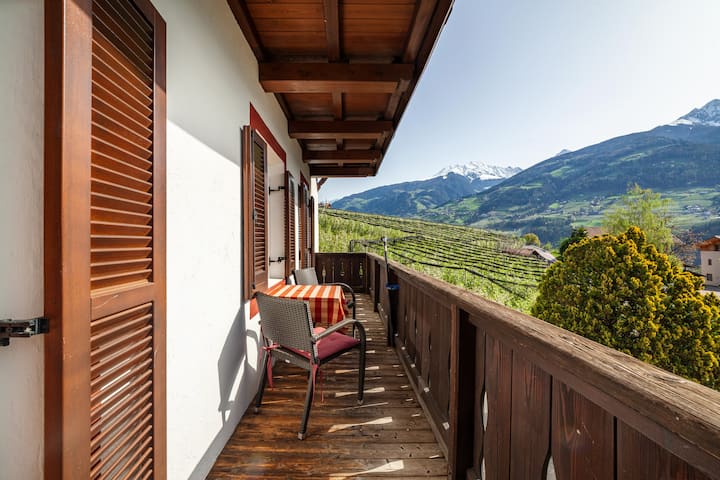 Gasserhof Ferienwohnung Gravenstein - Dorf Tirol