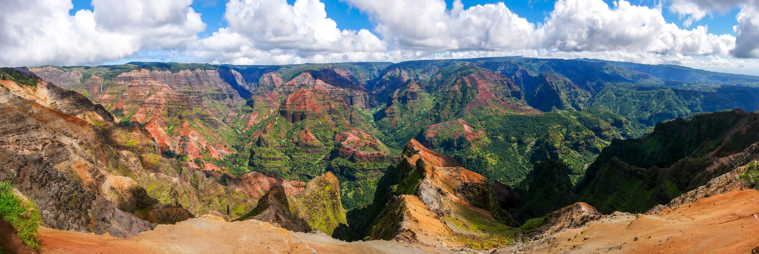 Condo in Kapaa · ★4.93 · 2 bedrooms · 3 beds · 3 baths - Photo 36