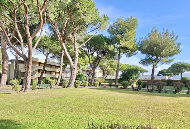 Monolocale Silvia Con Piscina Comune - Bibbona