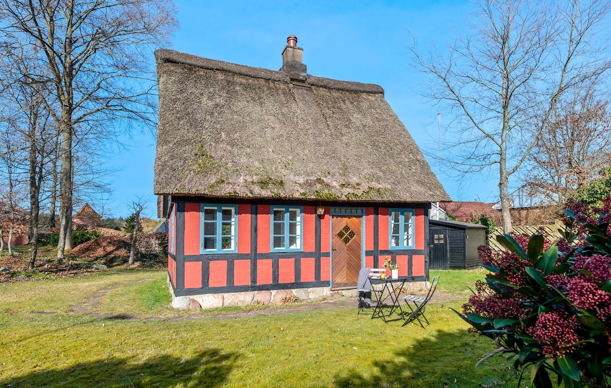 Nice home in Ry with WiFi - Houses for Rent in Ry, Denmark - Airbnb