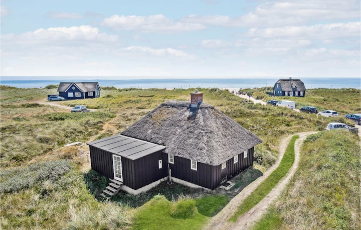 3 Bedroom Gorgeous Home In Blåvand - Blåvand