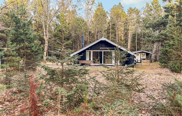 Pet Friendly Home In Oksbøl With Wifi - Blåvand